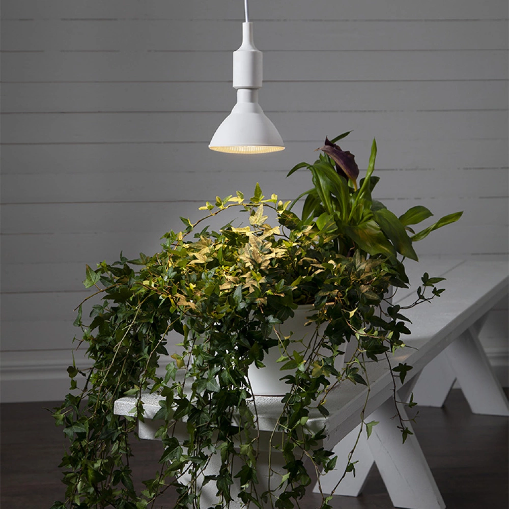Plant Lamp - Image 4