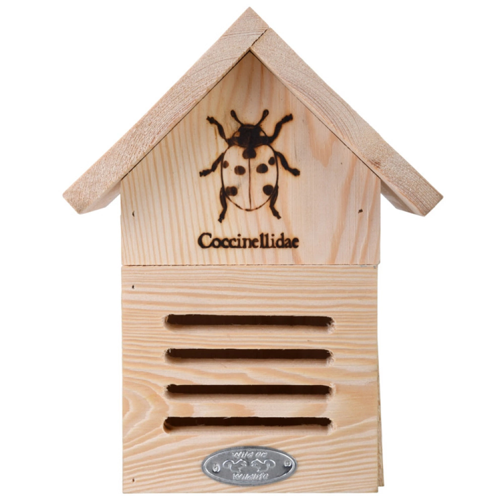 Ladybug House - Image 4