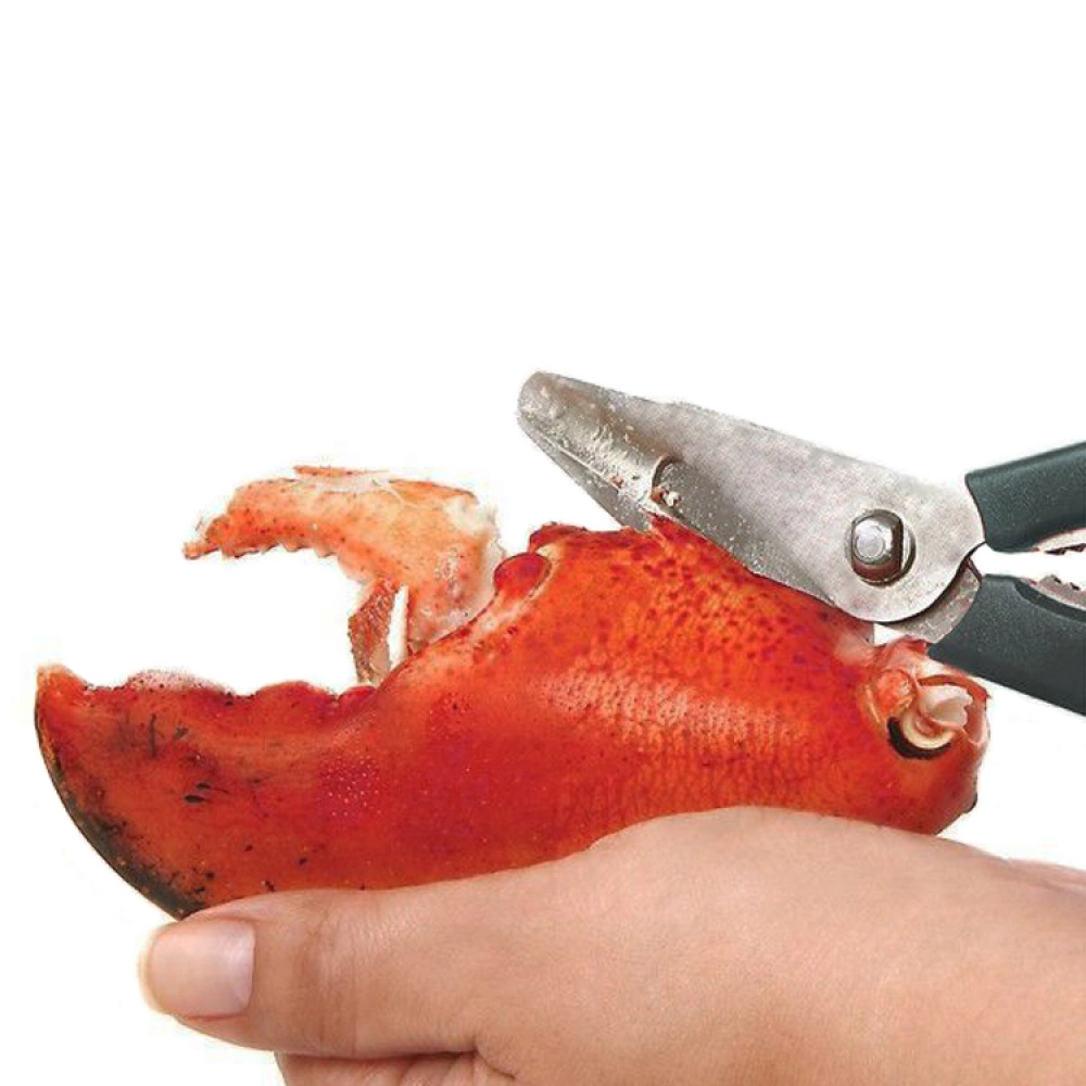 Seafood Scissors - Image 2