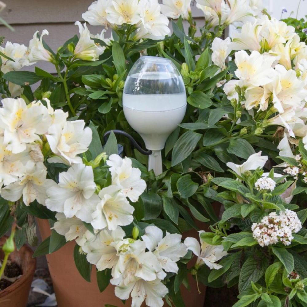 Plant Waterer - Image 3