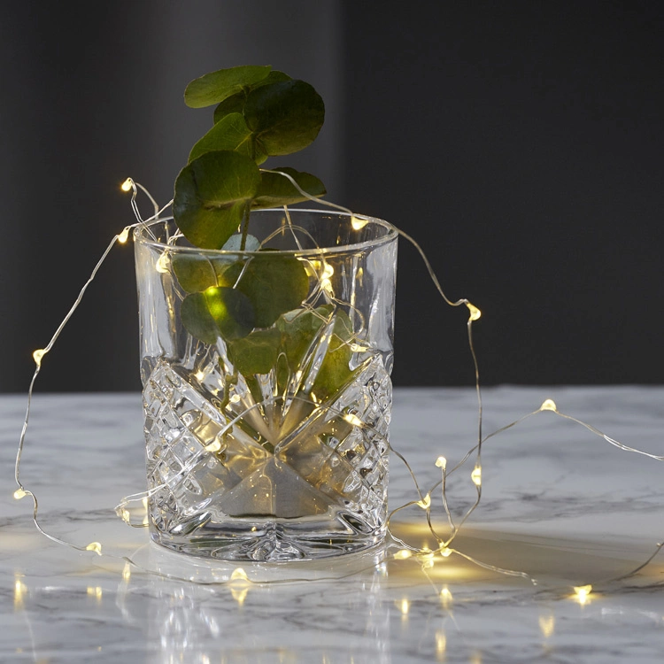 Battery Powered Fairy Lights, Puck