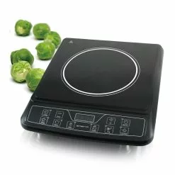 Portable Induction Stove