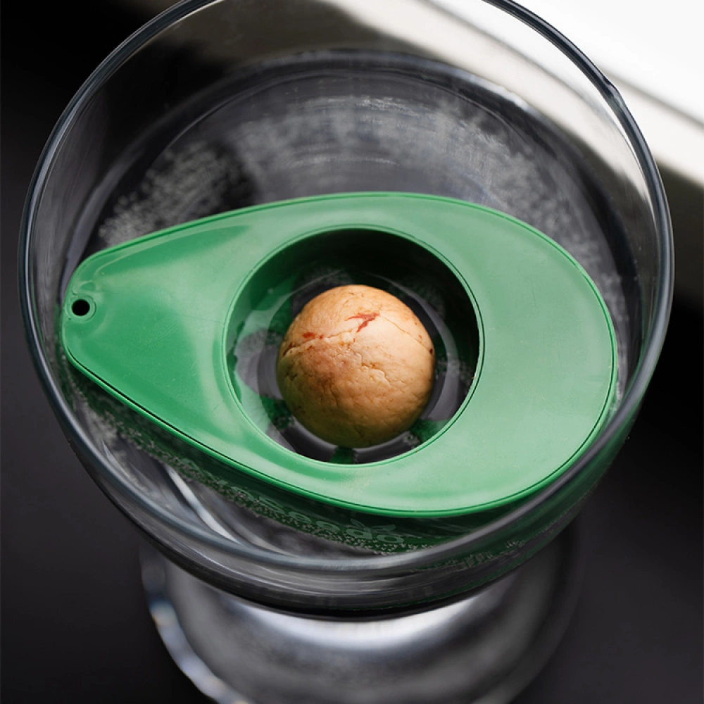 AvoSeedo - Grow Your Very Own Avocado Tree! - Image 2