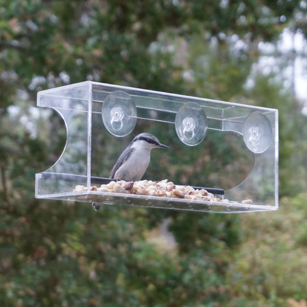 Large Bird Feeder For Windows - Image 2