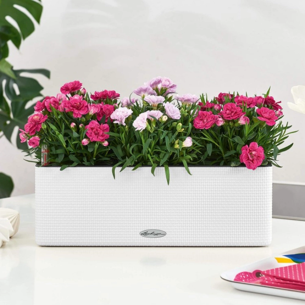 Self-watering Balcony Box - Image 6