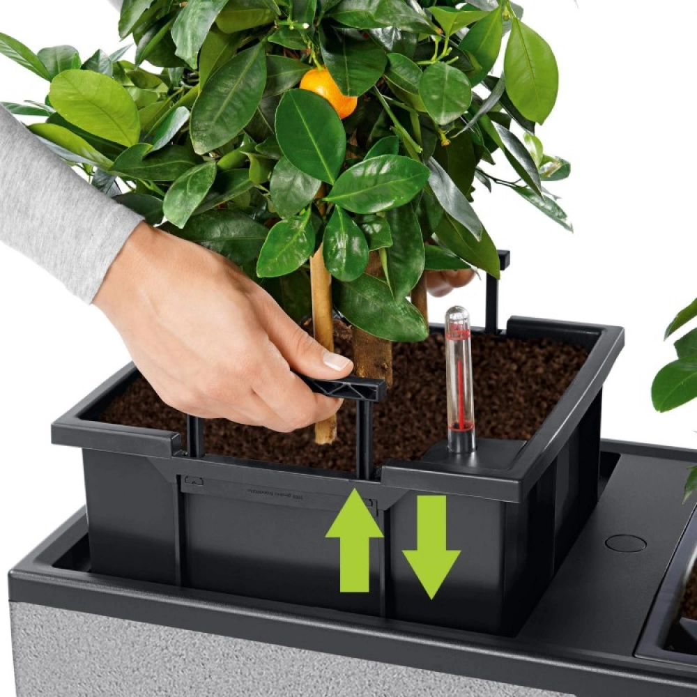 Self-watering Planter Box - Image 4