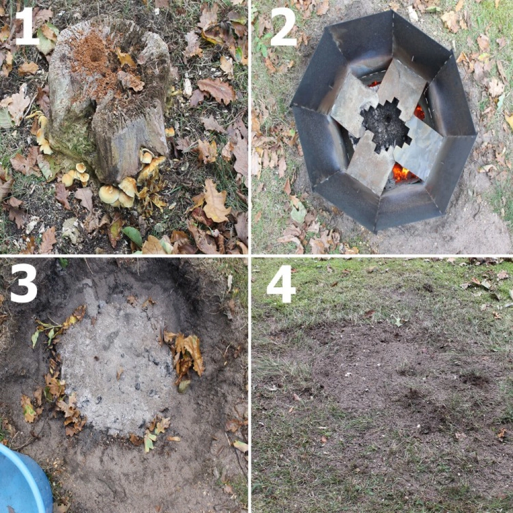 Stump Chimney - Image 10