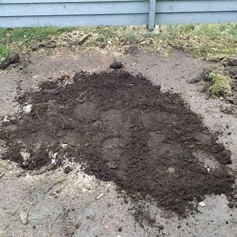 Stump Chimney - Image 9