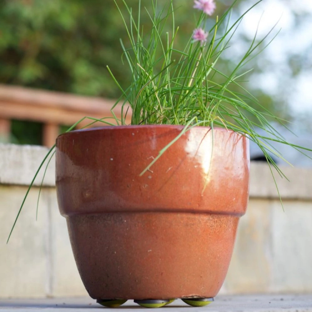 Pot Pads 4-pack - Image 2