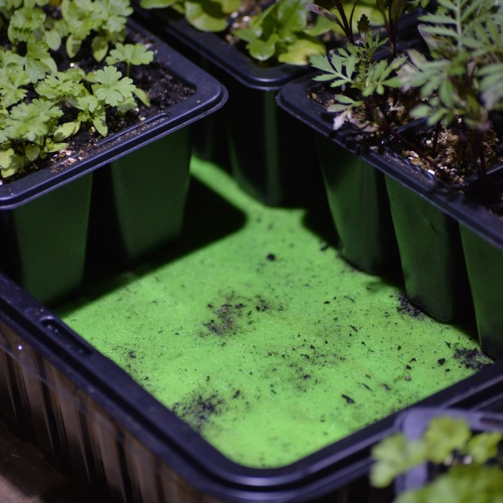 Irrigation Mat 50 Cm X 100 Cm - Image 2