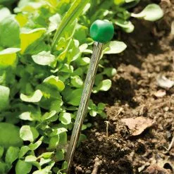 Soil Thermometer