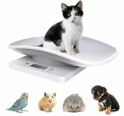 Unbranded Digital Pet Scale Electronic Kitchen Food Weight Scale With Lcd Display 10kg/22lb